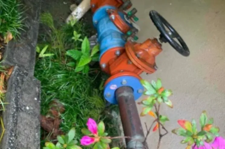 An outdoor main water line assembly with blue and orange valves and a large black handwheel located in a landscaped area.