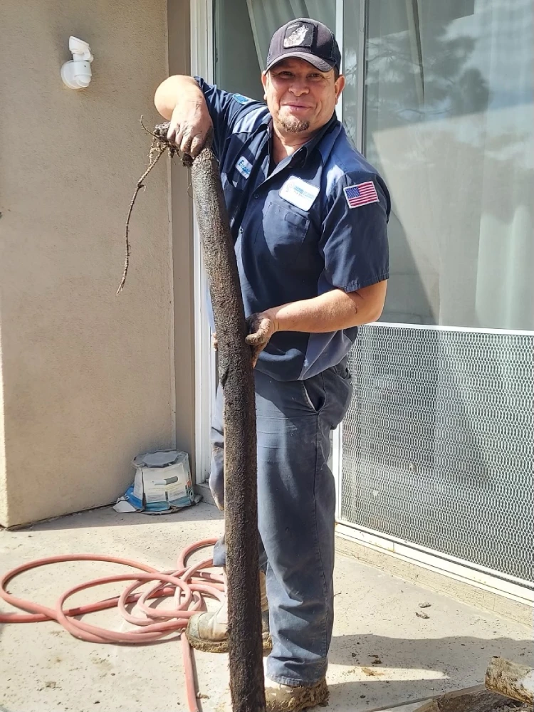 clogged-drain-pipe-root-removal-service